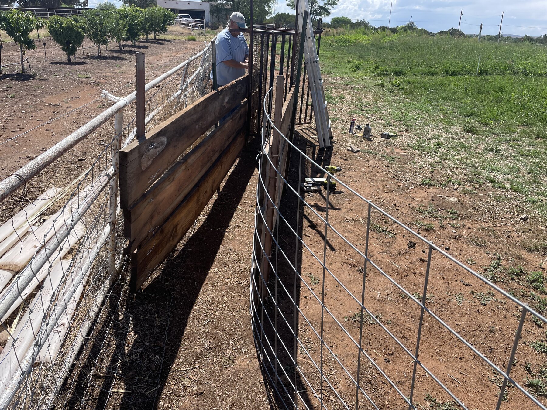 Secure pasture fencing and a gated handling lane