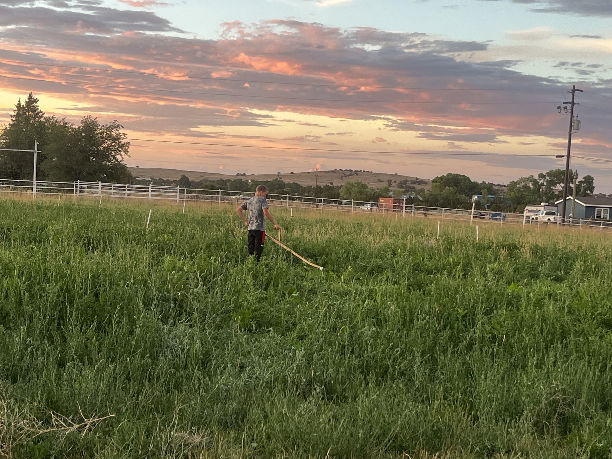 Green pasture beneath a colorful Arizona sunset